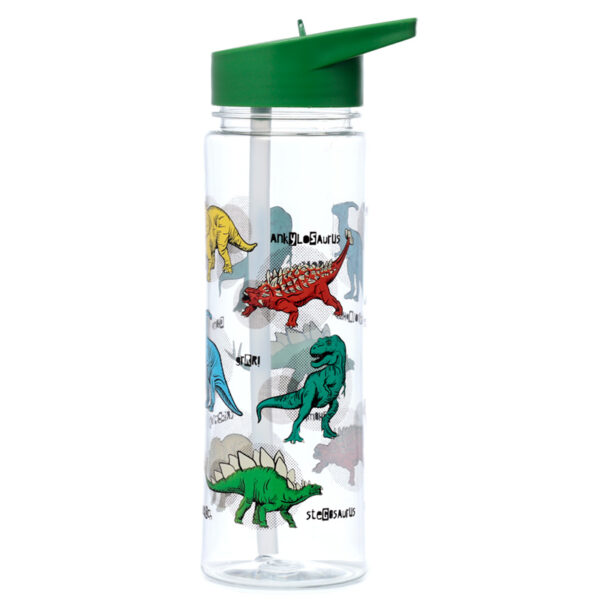 Reusable Dinosauria Shatterproof Ecozen 550ml Water Bottle with Flip Straw