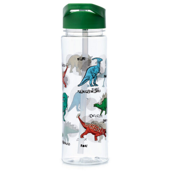 Reusable Dinosauria Shatterproof Ecozen 550ml Water Bottle with Flip Straw