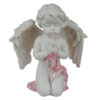 CHE138_003 Collectable Peace of Heaven Cherub - Memory of the Heart