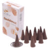 INC225C_001 Stamford Hex Incense Cones - Sandalwood 6 packs