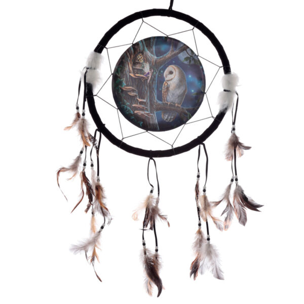 DCPB02L_001 Dreamcatcher (Medium) - Lisa Parker Fairy Tales Owl & Fairy