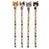Fun Cat Pencil and Eraser Set