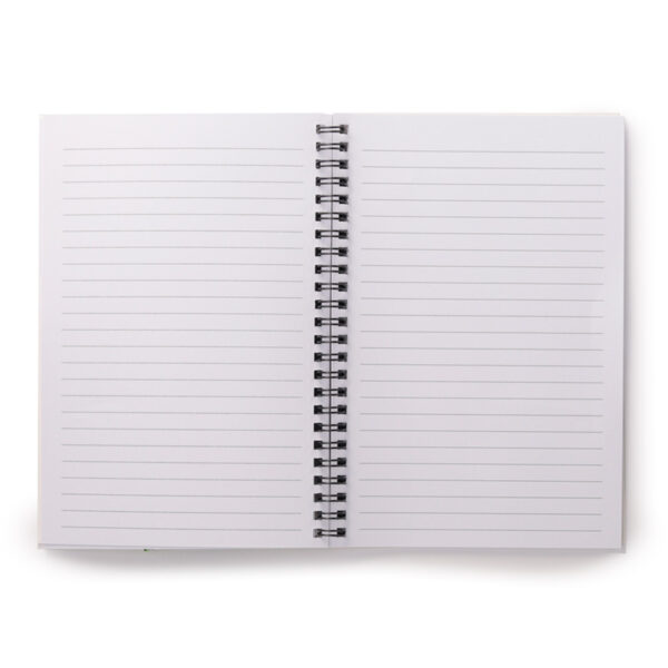 MEMOS06_006 Spiral Bound A5 Lined Notebook - Dinosauria