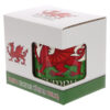 MUG239_006 Collectable Porcelain Mug - Wales Welsh Dragon