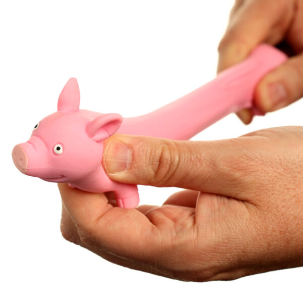TY765_003 Fun Kids Stretchy Squeezy Pig