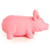 TY765_005 Fun Kids Stretchy Squeezy Pig