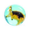 BAL21_003 Fun Dinosaur 3D Rubber Bouncy Ball