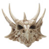DRG431_002 Collectable Dragon Skull