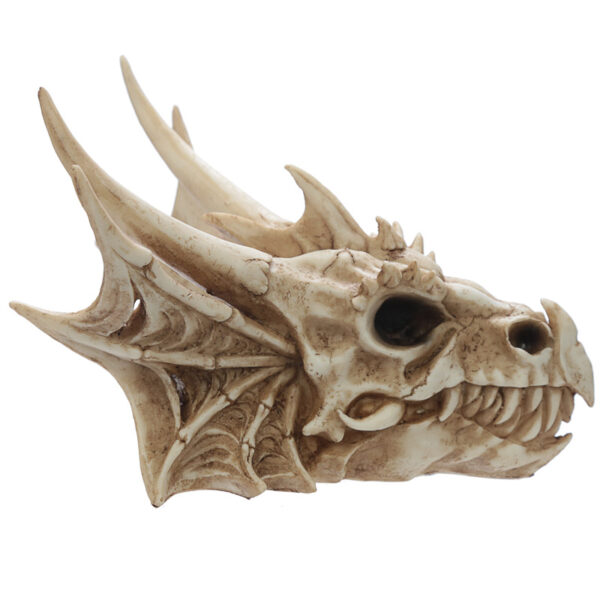 DRG431_003 Collectable Dragon Skull