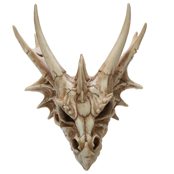 DRG431_006 Collectable Dragon Skull