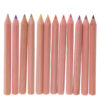 Colouring Pencil Tube - Hairy Coos Highland Coo
