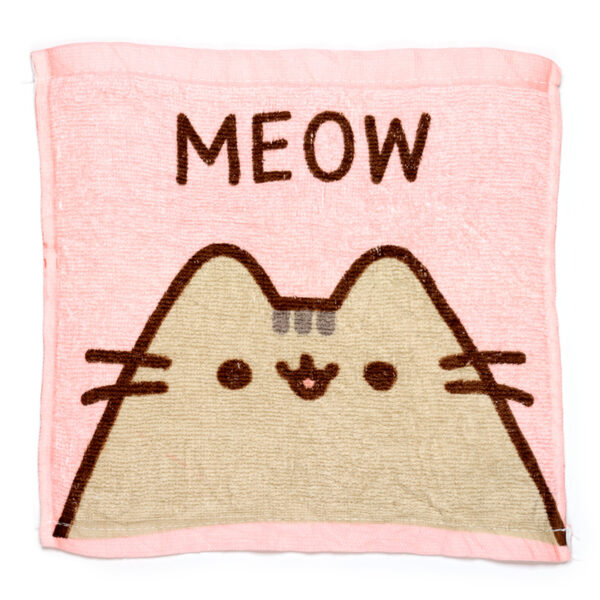 CT18_003 Compressed Travel Towel - Pusheen the Cat