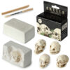 DIG52_001 Fun Excavation Dig it Out Kit - Human Skull
