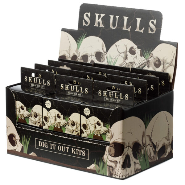 DIG52_010 Fun Excavation Dig it Out Kit - Human Skull
