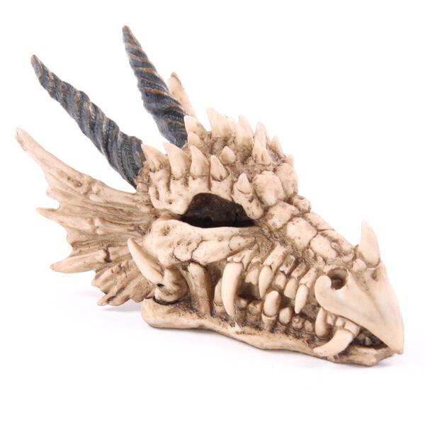 DRG186_001 Fantasy Dragon Skull Money Box