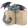 DRG458_006 Reading Elements Dragon Figurine