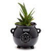 PLAN28_002 Decorative Ceramic Indoor Shaped Planter - Witches Cauldron
