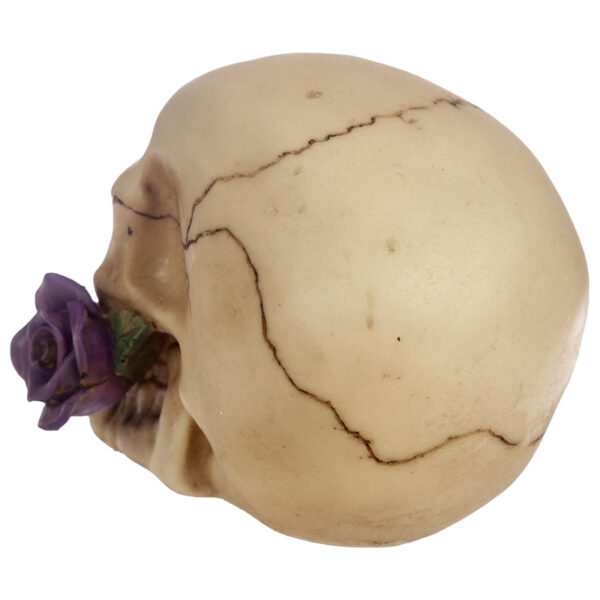 SK123B_009 Gothic Skull Decoration with Purple Roses