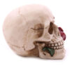 SK123_005 Fantasy Skull Head with Roses Ornament