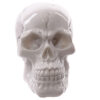 SK210_003 Novelty Glossy Small Skull Ornament