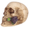 SK289_006 Gothic Skulls and Roses Ornament