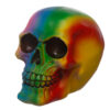 SK293_003 Gothic Rainbow Skull Ornament