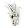 SK345_003 Dragon Skull Decoration with Metallic Detail