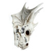SK345_004 Dragon Skull Decoration with Metallic Detail