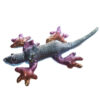CH11X-B_003 Cute Collectable Frill Neck Lizard Design Sand Animal