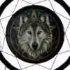 DCP02Q_002 Dreamcatcher (Medium) - Lisa Parker Celtic Wolf