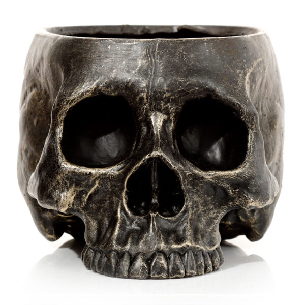 SK348_003 Skull Garden Planter