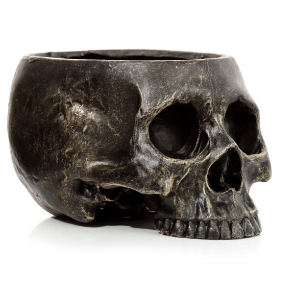 SK348_006 Skull Garden Planter