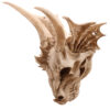 Decorative Fantasy Dragon Skull