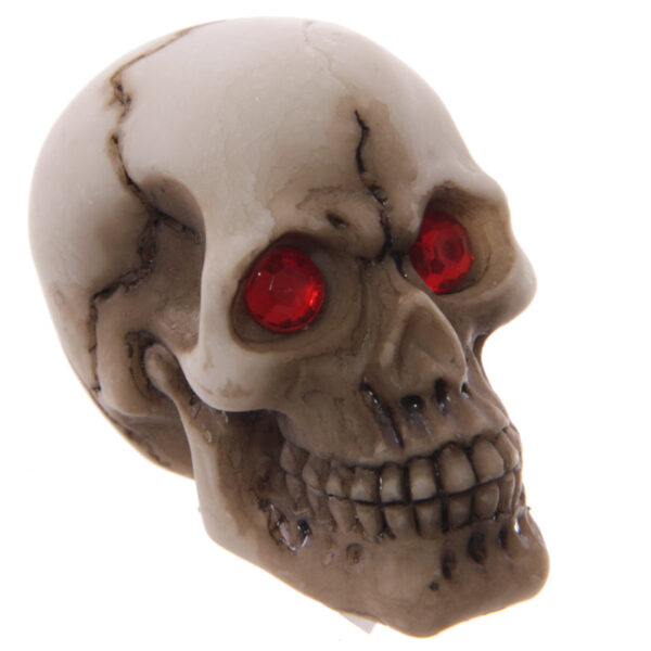 SK212_005 Novelty Red Eyed Skull Decoration