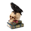 SK392_002 Decorative Ornament - Crow on Skull & Books
