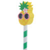 STA65_002 Cute Tropical Design Pencil and Eraser Set