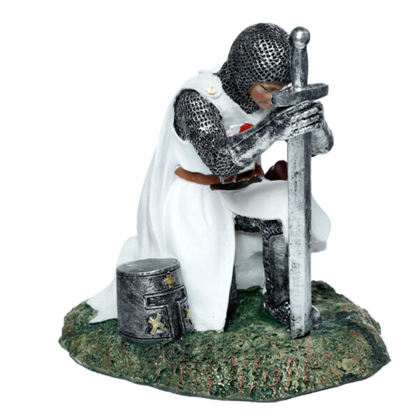 KN208_001 Protector of the Kingdom Knight Kneeling