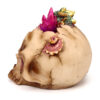 SK383_005 LED Dragon Ornament - Elements Baby Dragon Crystal Skull