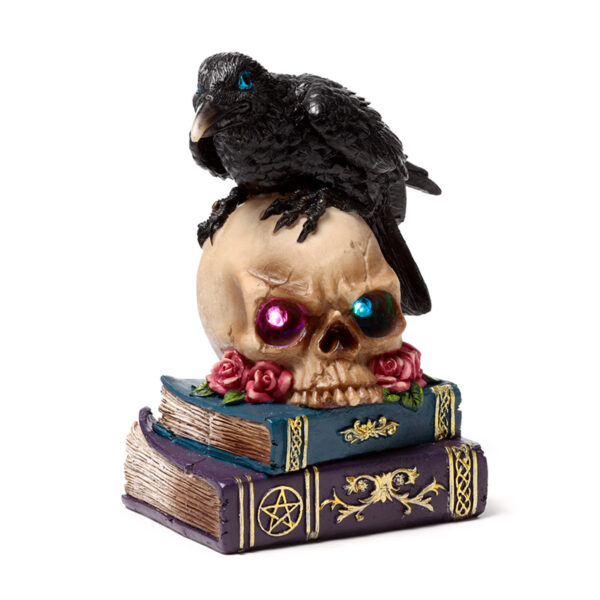 SK393_001 Decorative LED Ornament - Crow on Skull & Books