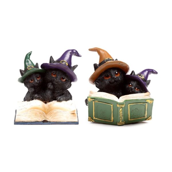 CAT202_001_1750848642 Witches Cat - Magical Spell Book