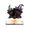 CAT202_005_1750848642 Witches Cat - Magical Spell Book