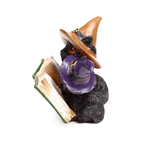 CAT202_008_1750848642 Witches Cat - Magical Spell Book