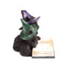 CAT202_009_1750848642 Witches Cat - Magical Spell Book