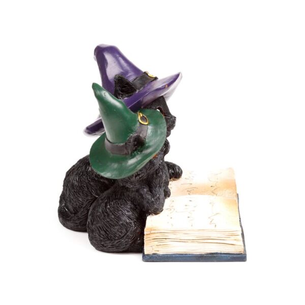 CAT202_009_1750848642 Witches Cat - Magical Spell Book