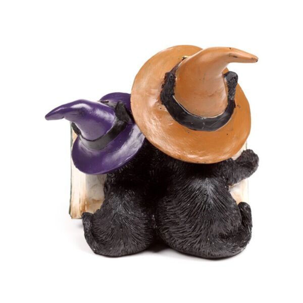 CAT202_010_1750848642 Witches Cat - Magical Spell Book
