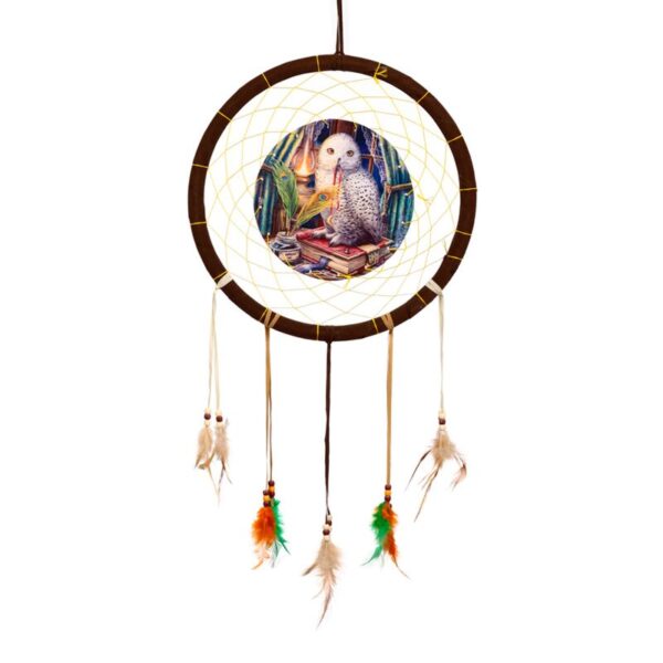 DCPB02Z_001_1749737929 Dreamcatcher (Medium) - Lisa Parker Guardian of Spells Owl