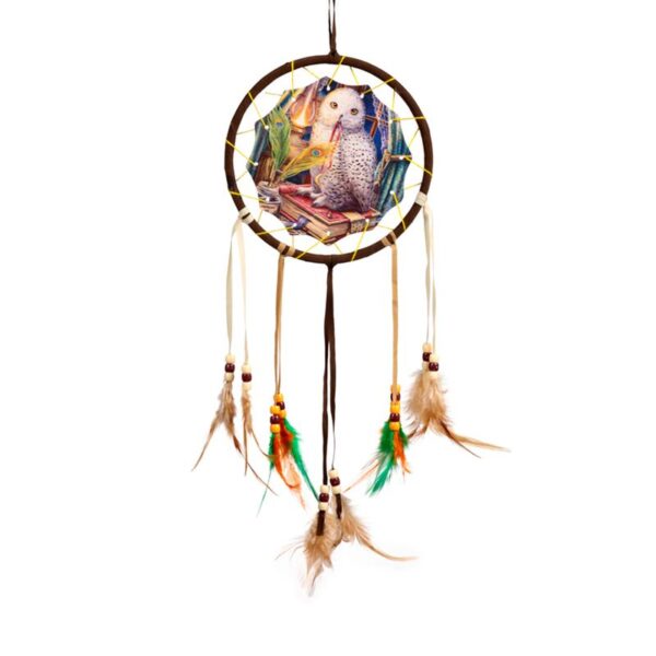 DCPB06Z_001_1749810227 Dreamcatcher (Small) - Lisa Parker Guardian of Spells Owl