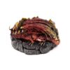 DRG583_008_1750784263 Dark Legends Dragon Incense Burner - Ring of Fire