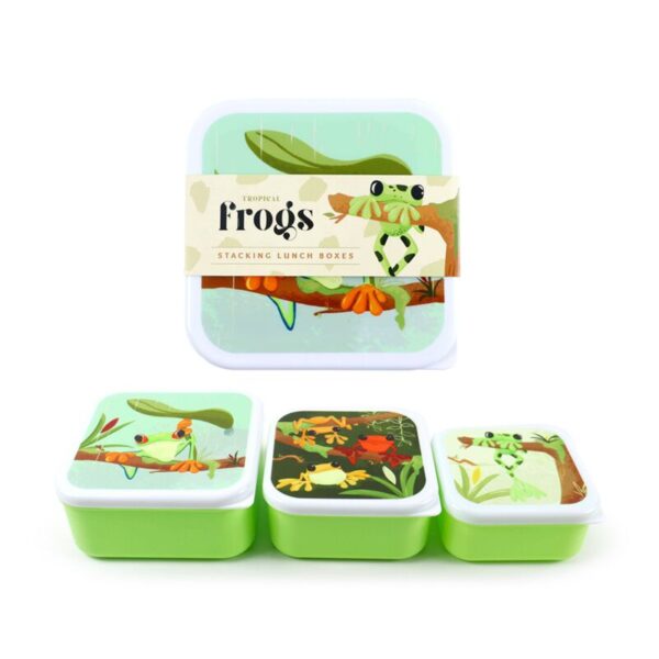 LBOX123_001_1739432480 Lunch Boxes Set of 3 (M/L/XL) - Tropical Tree Frog