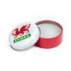 Lip Balm in a Tin - Welsh Dragon Wales (Cymru)